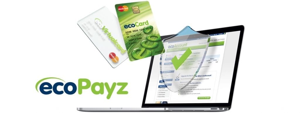 Ecopayz options.