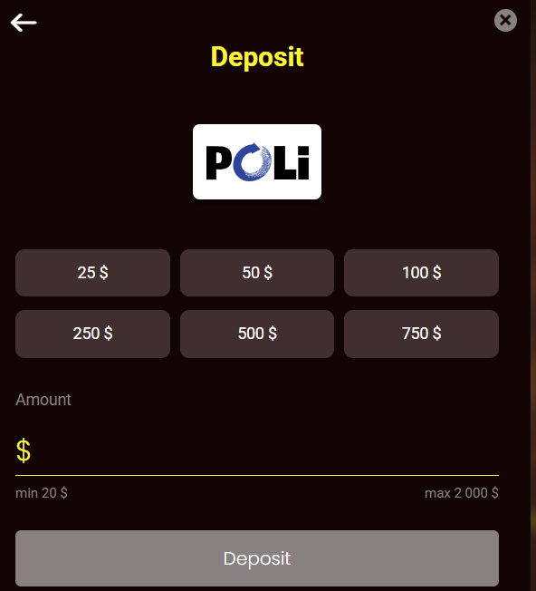 Poli payment at DragonSlots